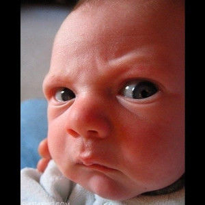 Meet your Posher, Donald